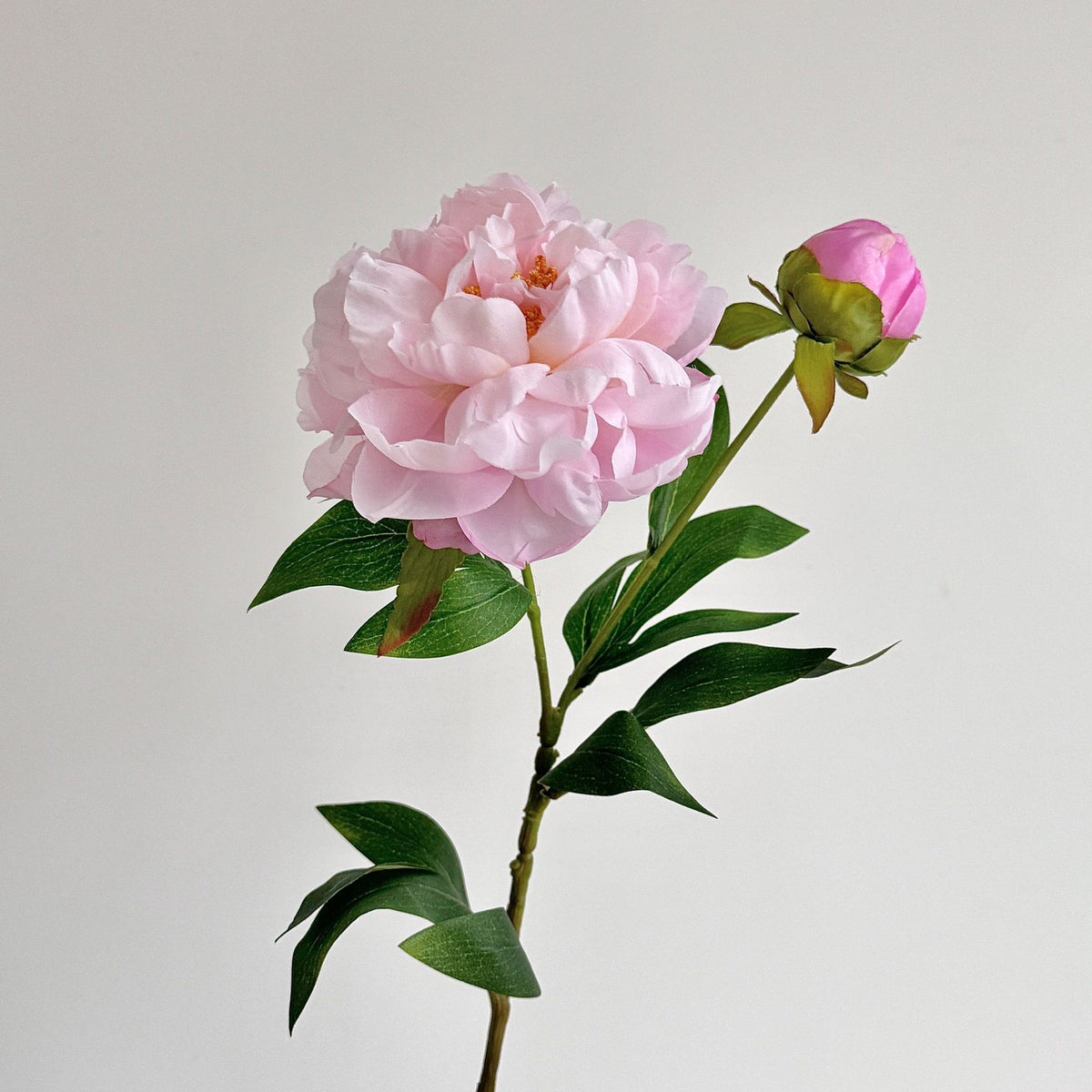 Realistic Peony Floral Stem for Flower Arrangements