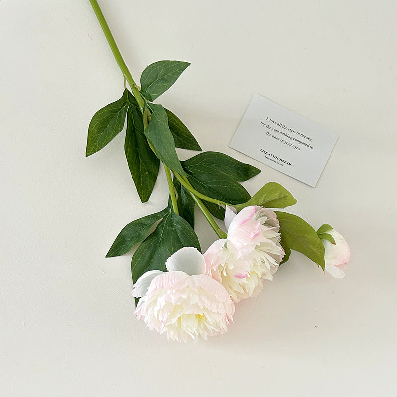 Realistic Peony Flower Stem for Home Display