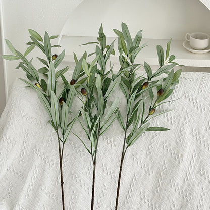 Elegant Olive Branch Decorative Accent