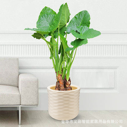 Decorative Textured Ceramic Planter Homeandso