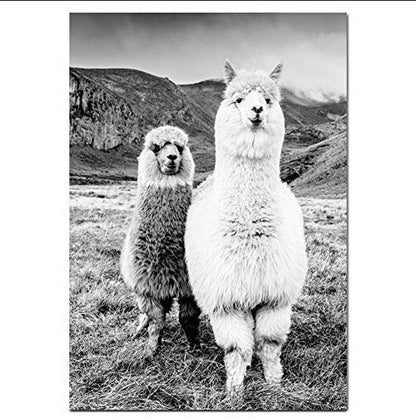 Black and White Animal Photography Canvas Print Homeandso