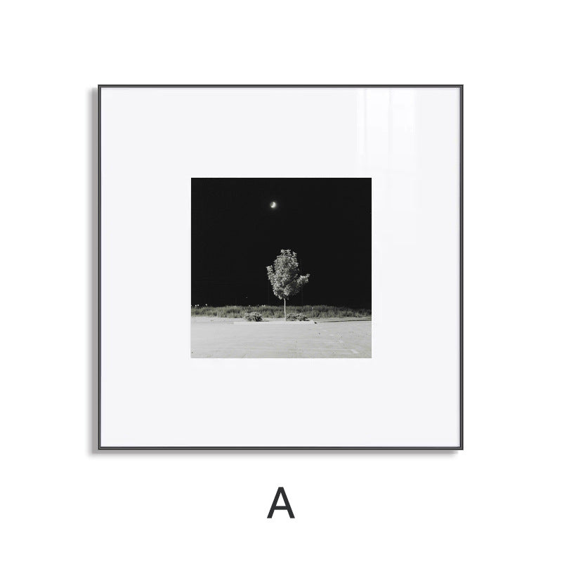 Decorative Black and White Framed Wall Art Homeandso
