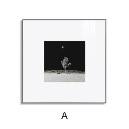 Decorative Black and White Framed Wall Art Homeandso
