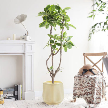Decorative Round Ceramic Planter Homeandso