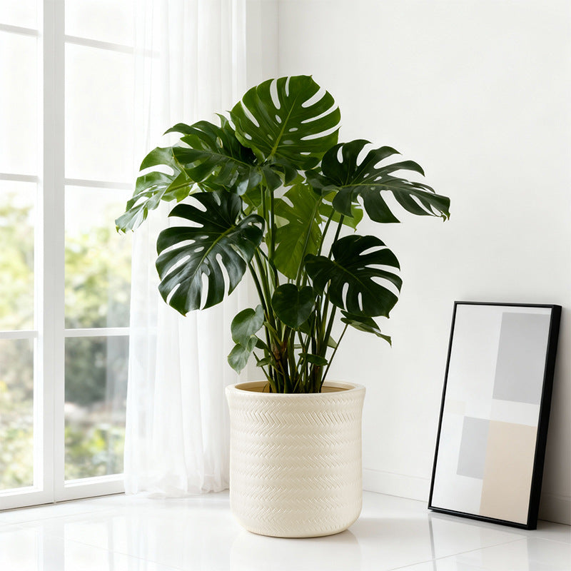 Textured Modern Round Plant Pot Homeandso