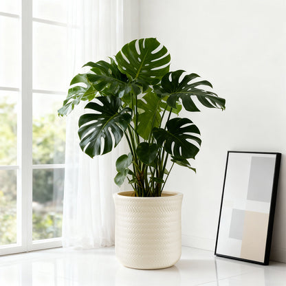 Textured Modern Round Plant Pot Homeandso