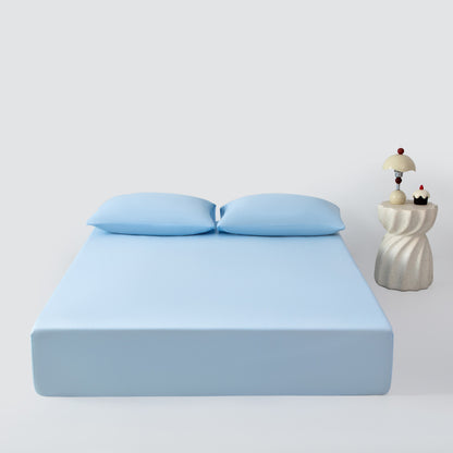 Foam Mattress Protector Homeandso