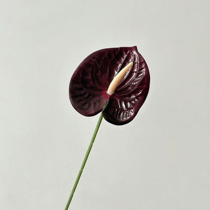 Elegant Orchid Floral Stem