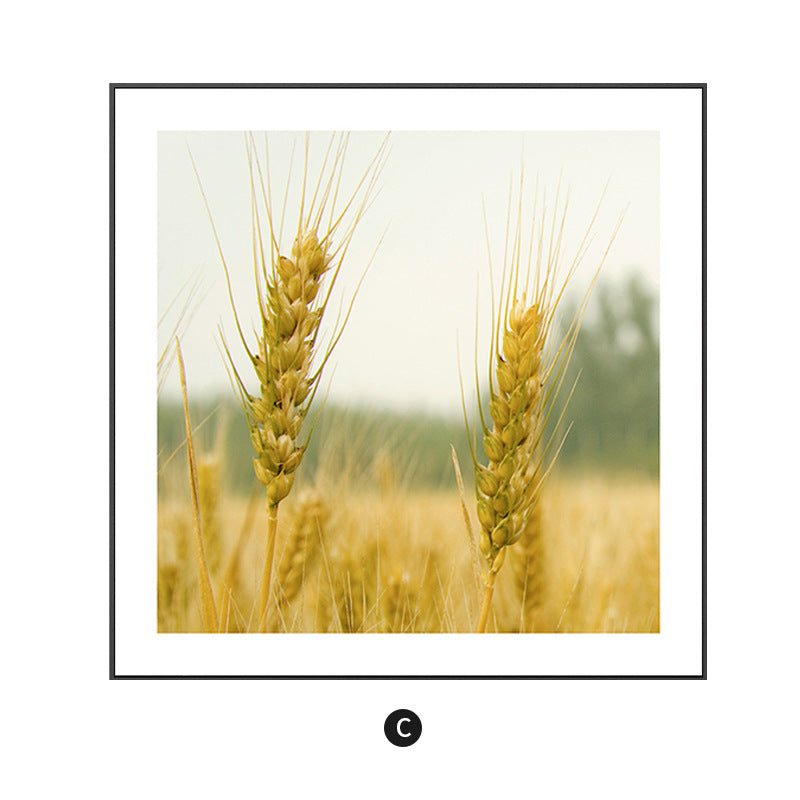 Framed Floral Artwork Homeandso 1790073032
