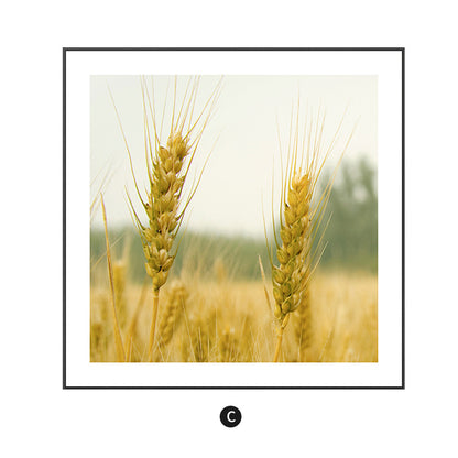 Framed Floral Artwork Homeandso 1790073032
