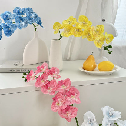 Decorative Orchid