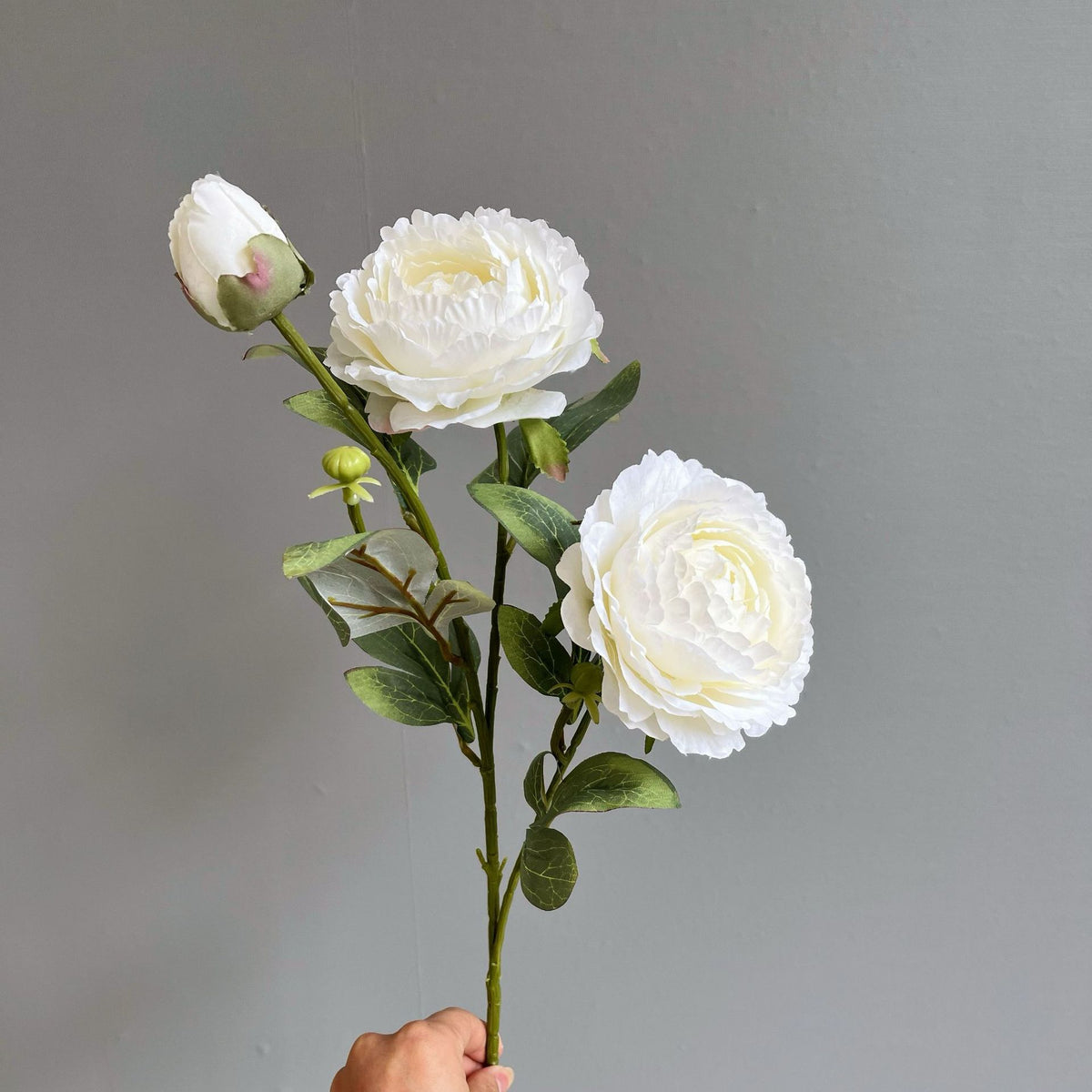 Elegant Peony Floral Stem