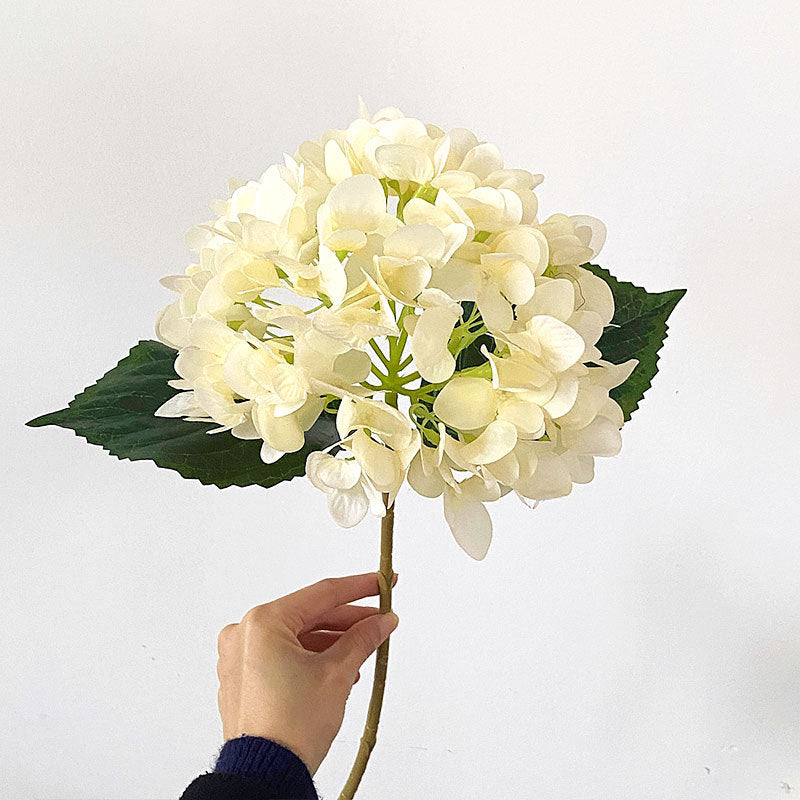 Premium Hydrangea Floral Stem