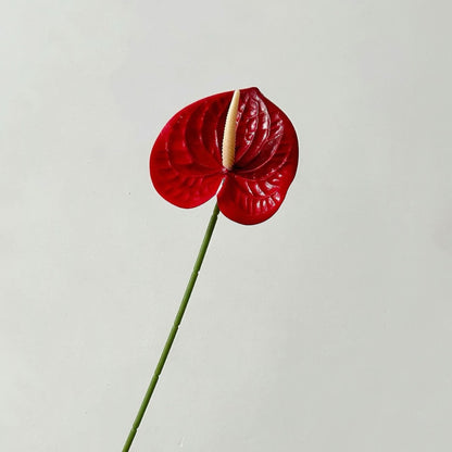 Elegant Orchid Floral Stem