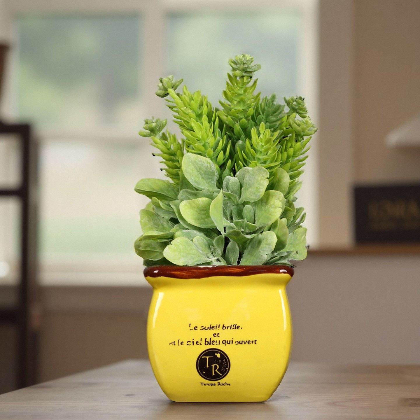 Decorative Potted Plant Homeandso