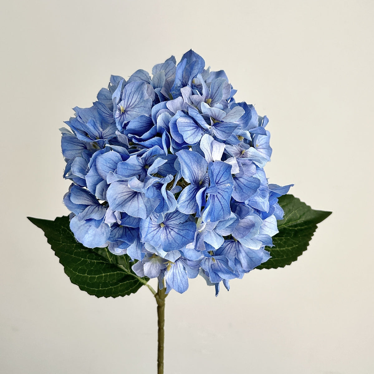 Realistic Floral Hydrangea Stem