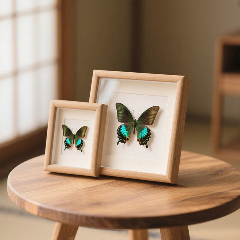 Butterfly Shadow Box Decor