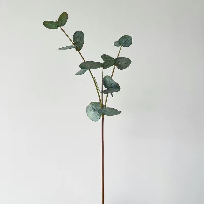Naturalistic Eucalyptus Stem