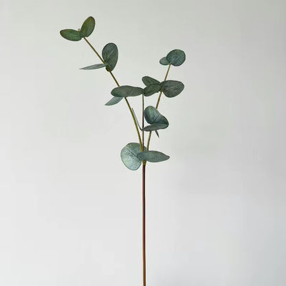 Naturalistic Eucalyptus Stem