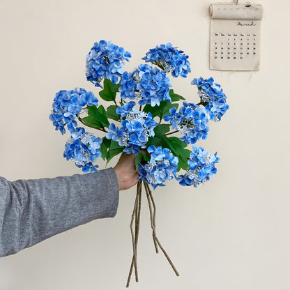Realistic Hydrangea Stem