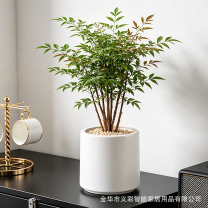 Stylish Round Ceramic Pot Homeandso
