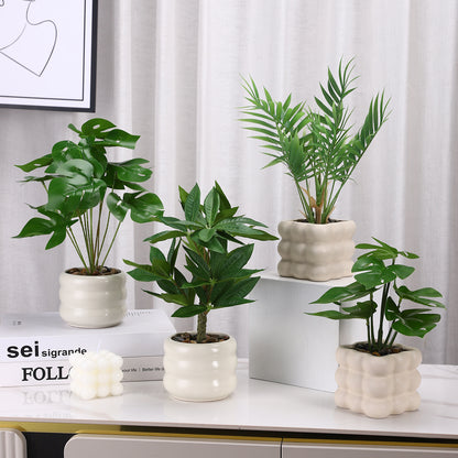 Decorative Potted Plant Arrangement Homeandso