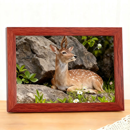 Minimalist Decorative Photo Frame