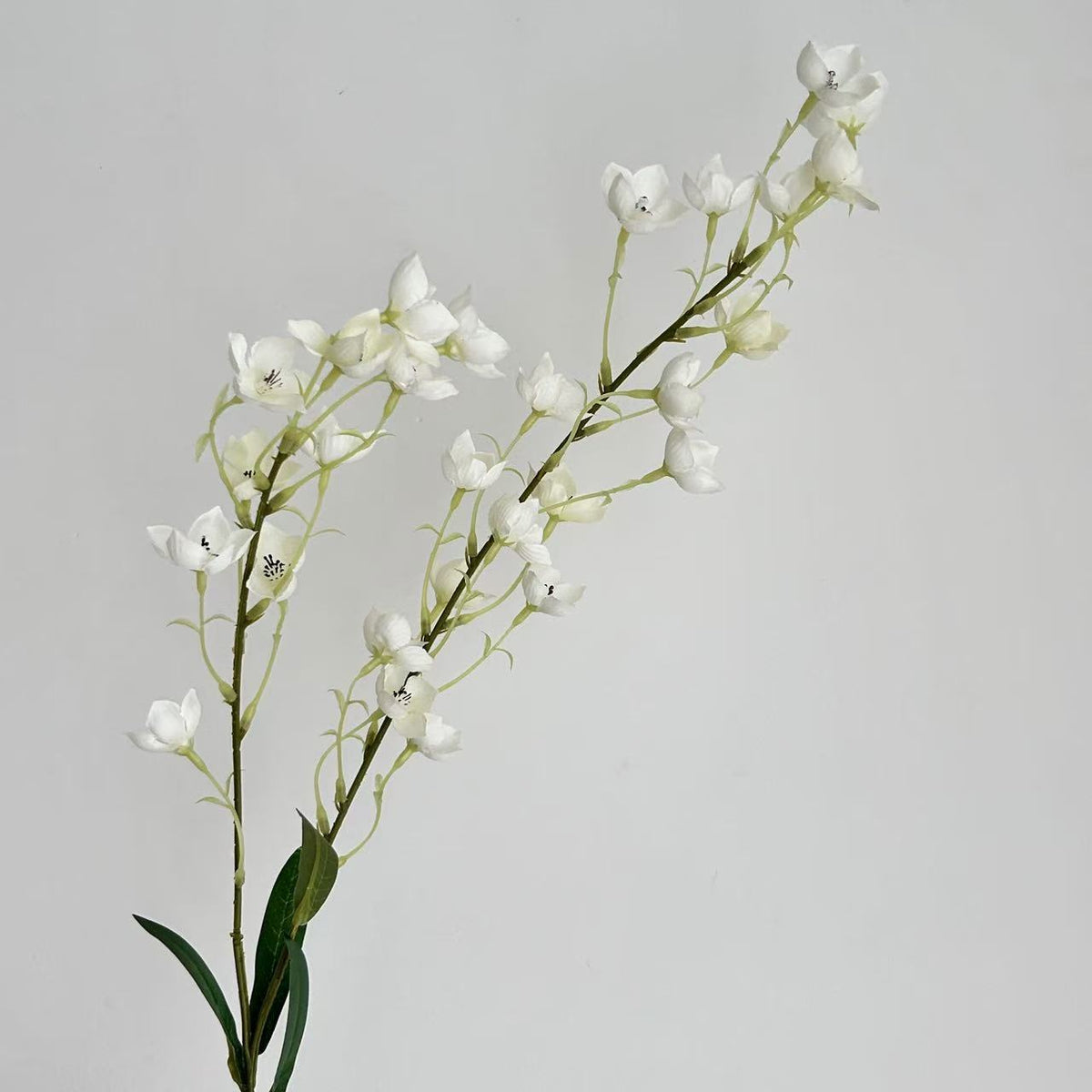 Realistic Orchid Flower Stem Arrangement