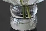 Zeitgenössische Glasblumenanzeige