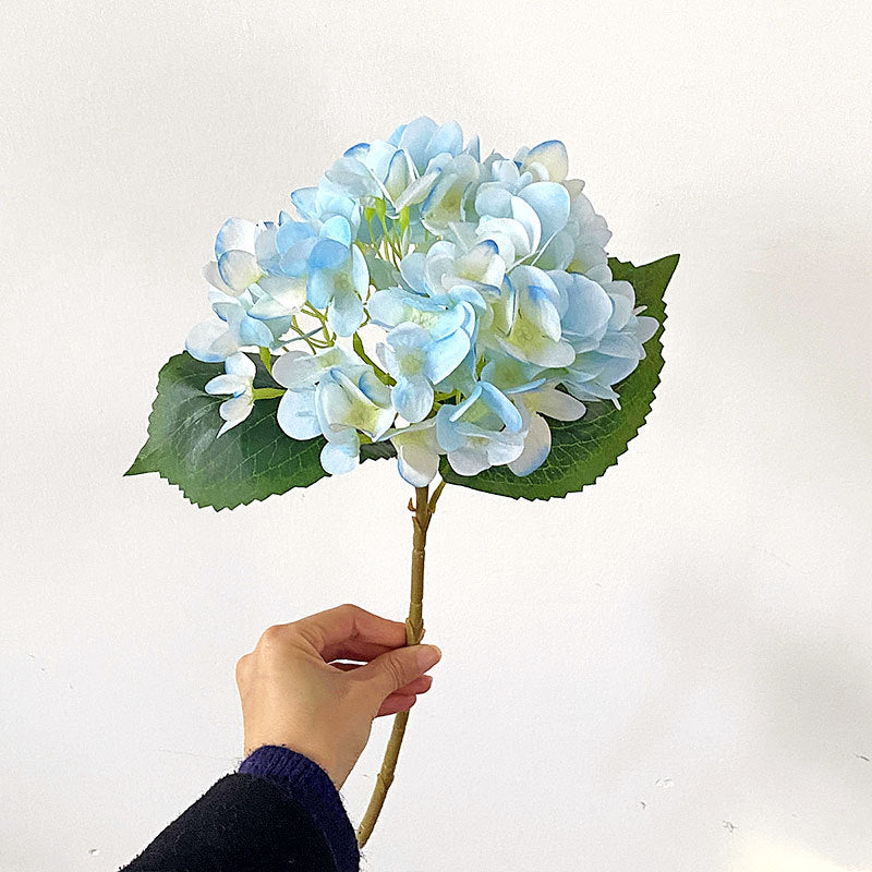 Premium Hydrangea Floral Stem