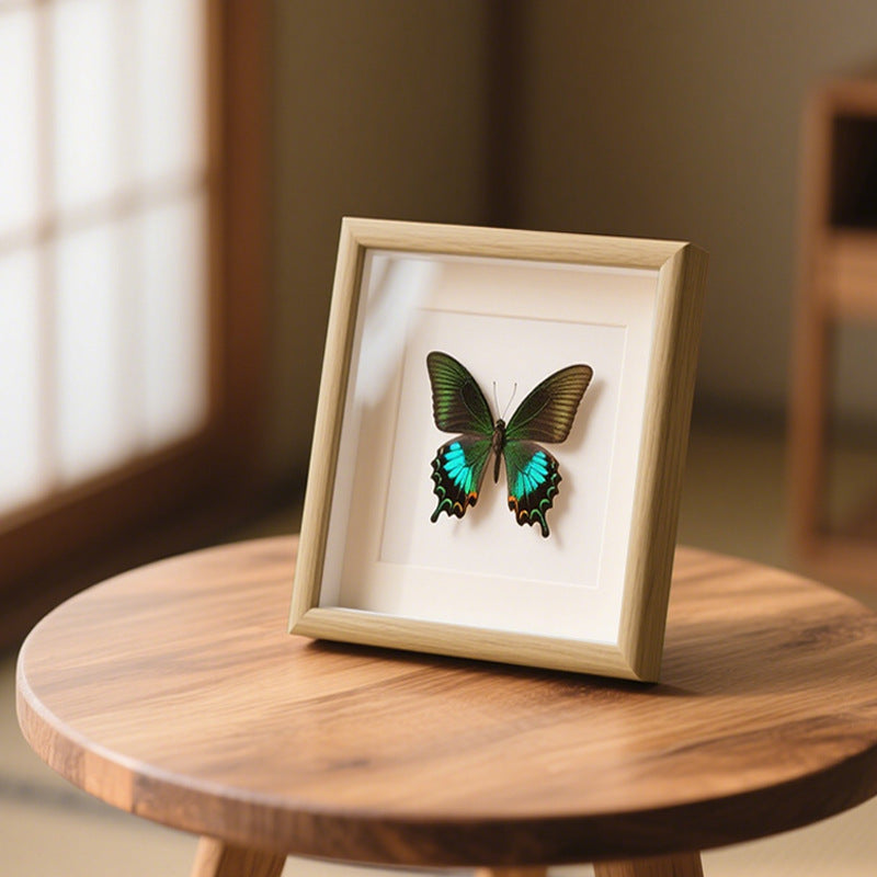 Butterfly Shadow Box Decor