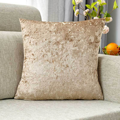 Plush Velvet Decorative Cushion