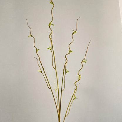 Decorative Twisted Branch Arrangement