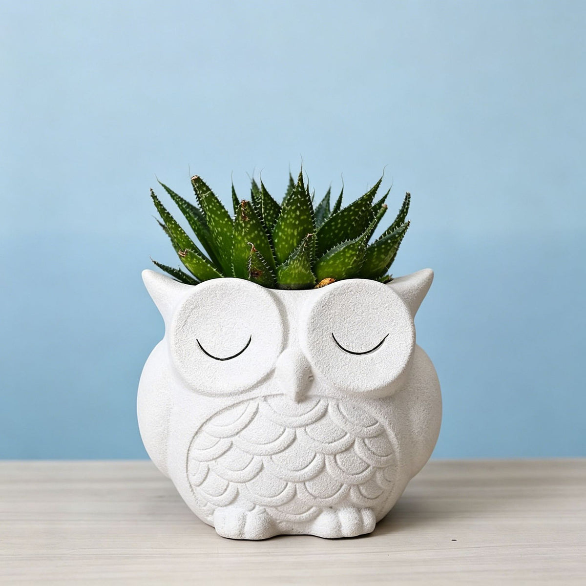 Decorative Owl Phone Stand Homeandso