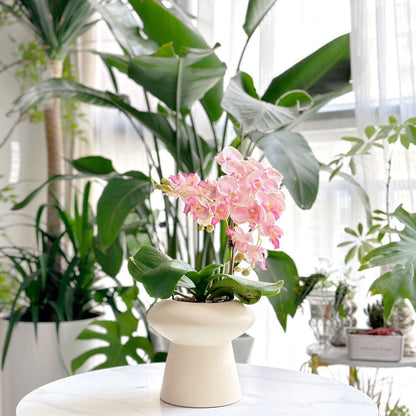 Decorative Home
