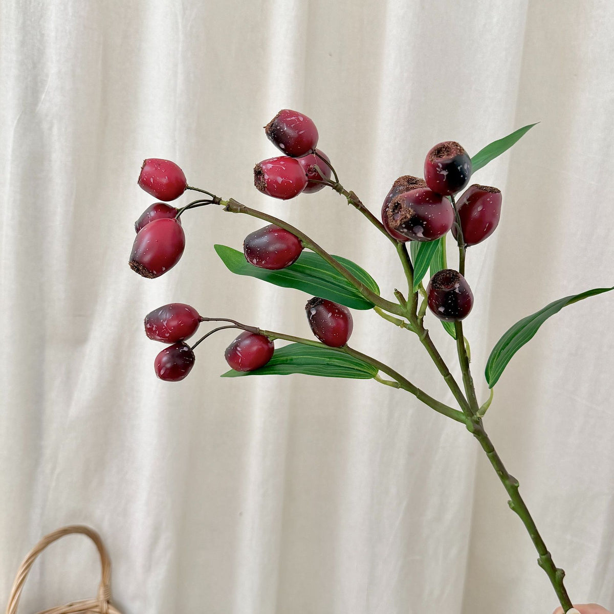 Decorative Olive Branch Arrangement