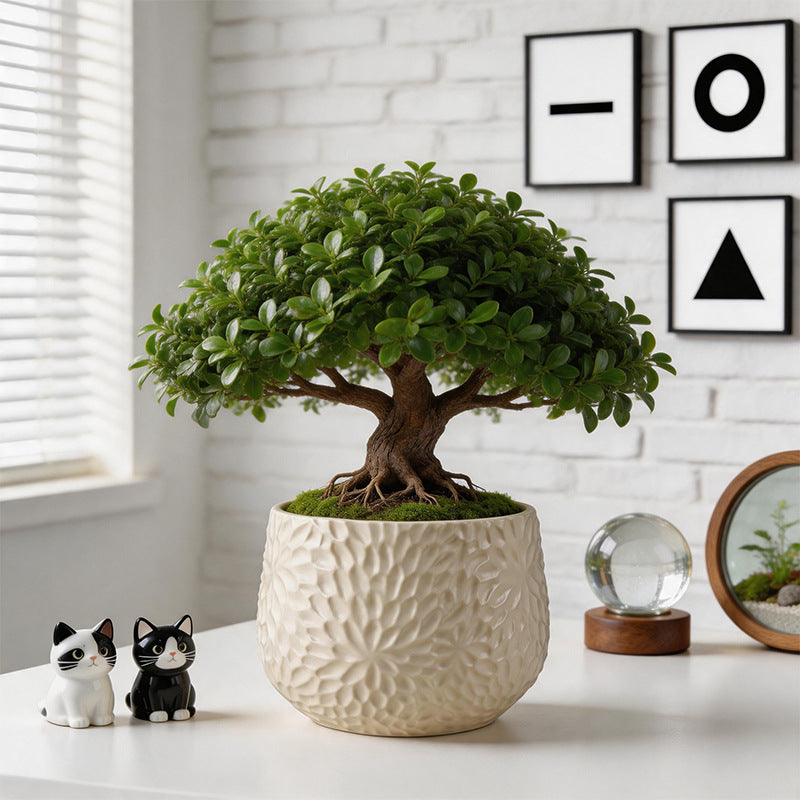 Textured Ceramic Flower Planter Homeandso