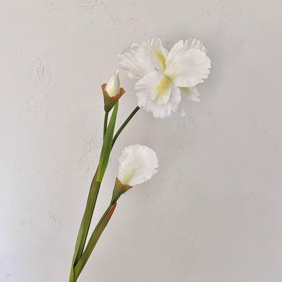 Elegant Floral Arrangement for Home Display