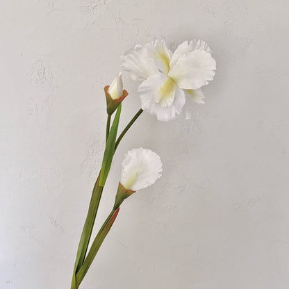 Elegant Floral Arrangement for Home Display