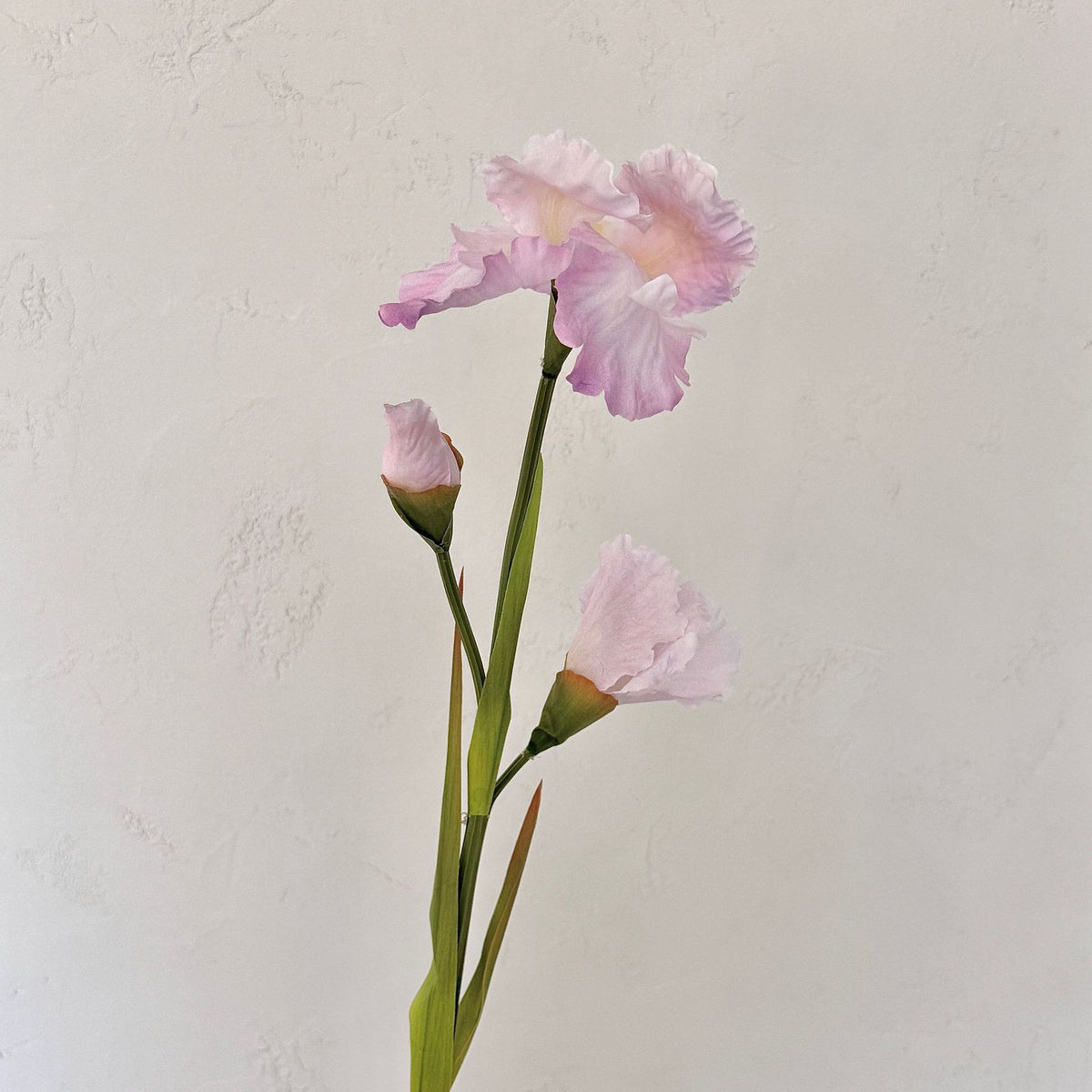 Elegant Floral Arrangement for Home Display