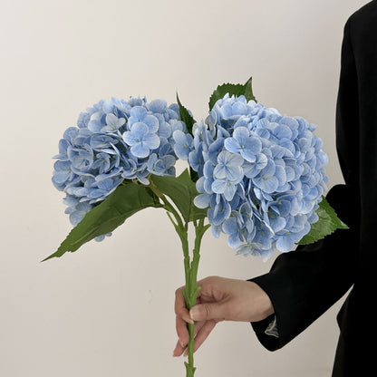 Realistic Hydrangea Stem