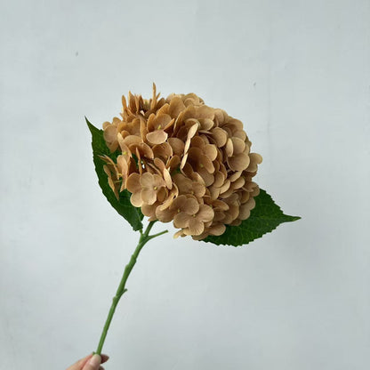 Realistic Hydrangea Stem