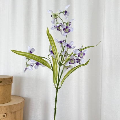 Elegant Orchid Flower Stem