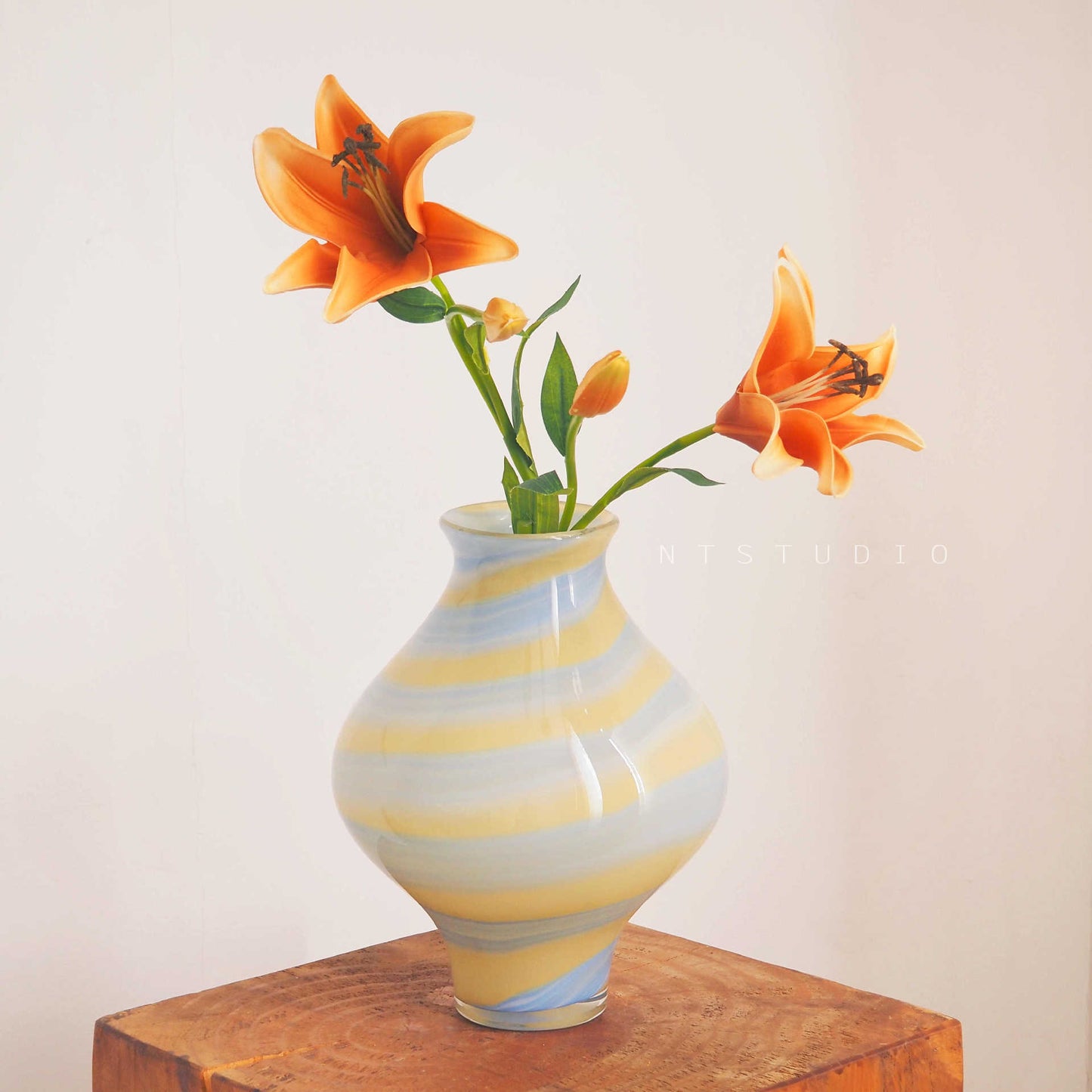 Homeandso Decorative Glass Vase