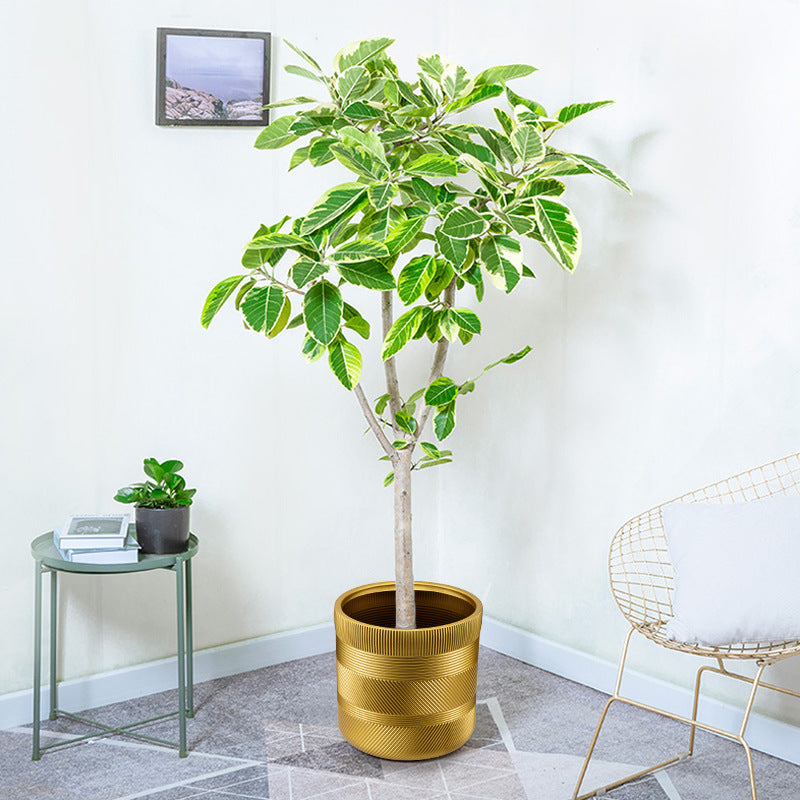 Textured Decorative Plant Pot Homeandso