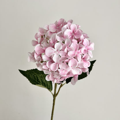 Realistic Floral Hydrangea Stem