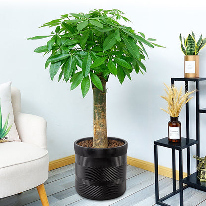 Textured Decorative Plant Pot Homeandso