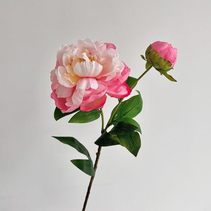 Realistic Peony Floral Stem for Flower Arrangements
