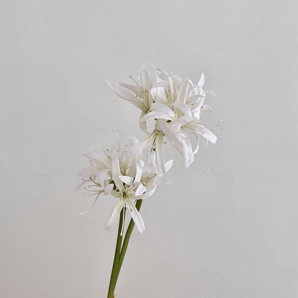 Realistic Decorative Flower Stem