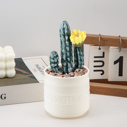 Modern Minimalist Planter Homeandso